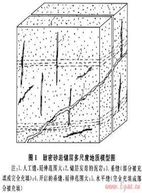 裂縫性致密砂巖儲層氣體傳質實驗